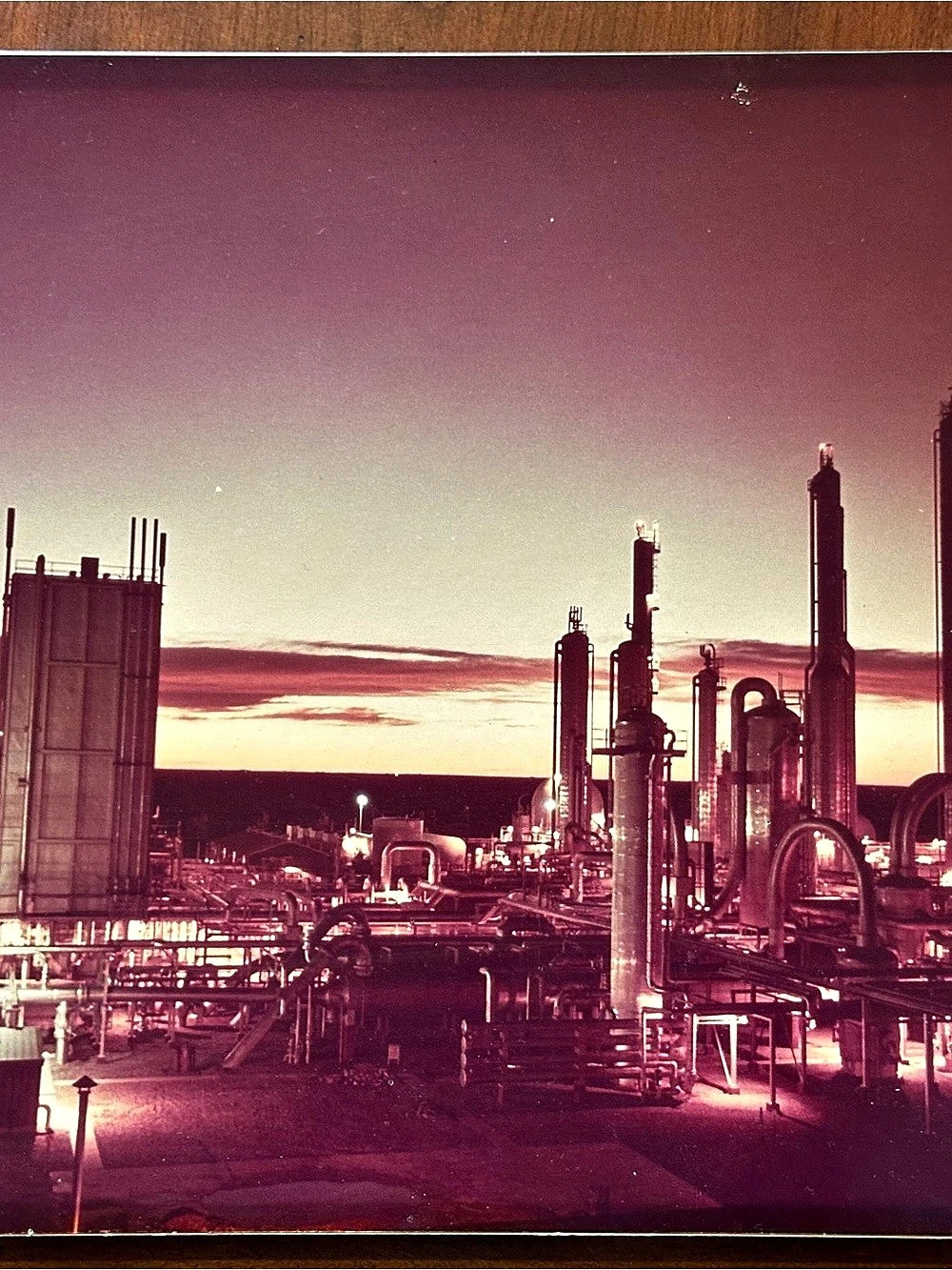 Industrial Plant Photograph Purple & Pink